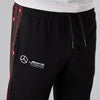 MERCEDES E-SPORTS MOTHERBOARD JOGGER