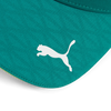 Aston Martin Aramco F1 Team 2026 Official Team Baseball Cap